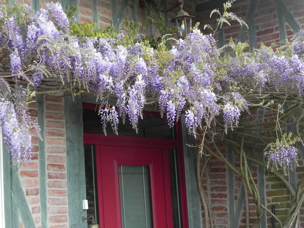 L'Escapade Bed & Breakfast Foulbec Bagian luar foto